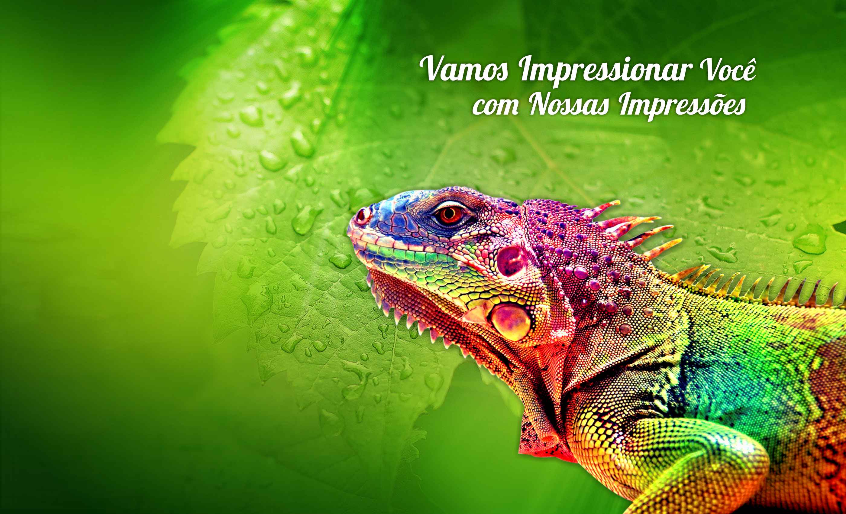 Impressão digital Impressão digital